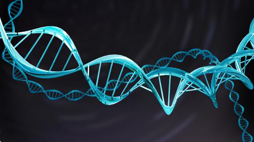 Simple DNA Model, Double Helix B.2.9 Beta preview image